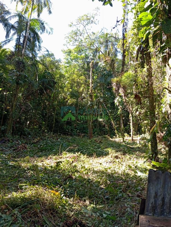 Terreno à venda,39920.00 m², CAPITUVA, MORRETES - PR