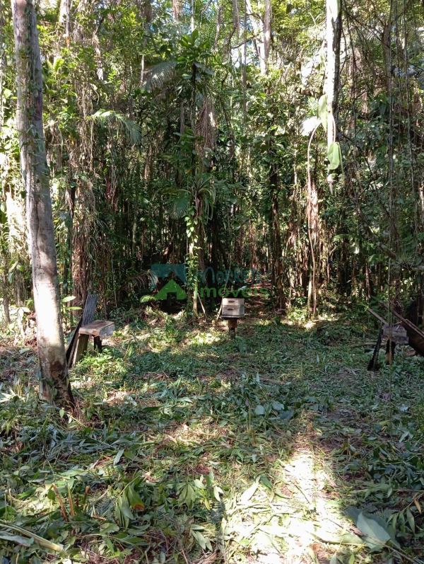 Terreno à venda,39920.00 m², CAPITUVA, MORRETES - PR