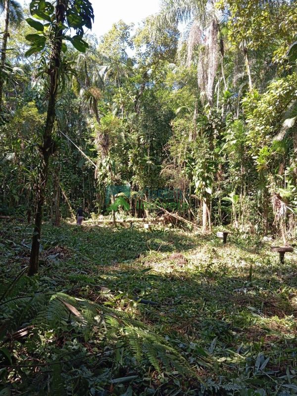 Terreno à venda,39920.00 m², CAPITUVA, MORRETES - PR