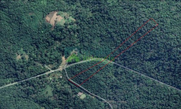 Terreno à venda,20000.00 m², Sarapia, MORRETES - PR