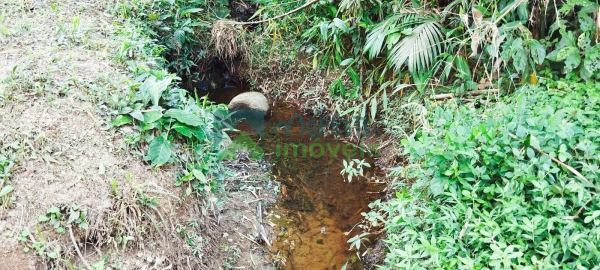 Terreno à venda,6000.00 m², Cruz Alta, MORRETES - PR