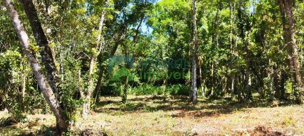 Terreno à venda,6000.00 m², Cruz Alta, MORRETES - PR