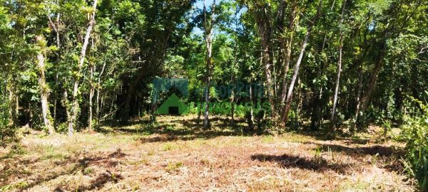 Terreno à venda,6000.00 m², Cruz Alta, MORRETES - PR