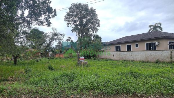 Terreno com 1.333,15 m² 22x60 plano na Vila das Palmeiras em M...