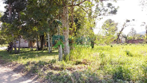 Terreno com 1.333,15 m² 22x60 plano na Vila das Palmeiras em M...