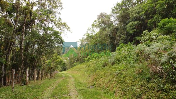 Propriedade Rural toda documentada com 151.447m² 15,14ha em M...