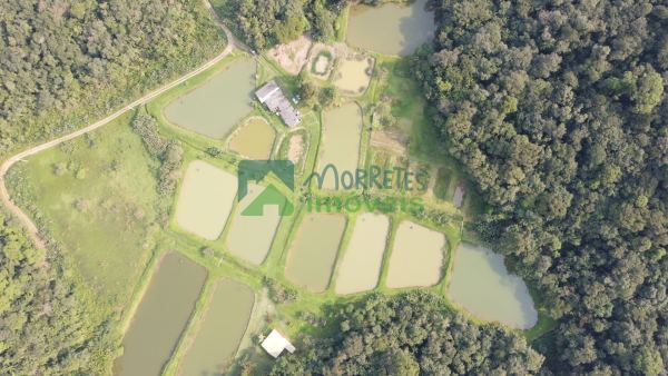 Propriedade com 26 tanques de peixe e duas nascentes à venda e...