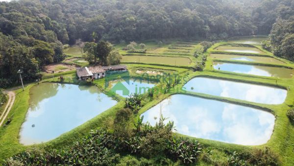 Propriedade com 26 tanques de peixe e duas nascentes à venda e...
