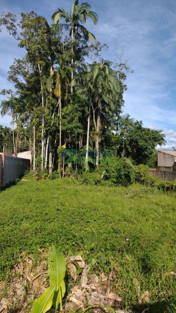 Terreno na Vila Santo Antonio com 480m² com Matrícula em Mor...