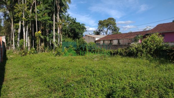 Terreno na Vila Santo Antonio com 480m² com Matrícula em Mor...