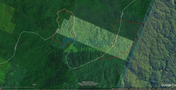 Áreas para compensação ambiental ou Crédito de Carbono no Para...