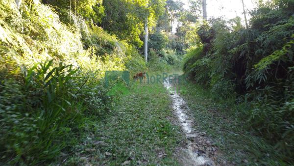 Área Rural Documentada com 150.480 m² em Meio à Natureza! Fác...