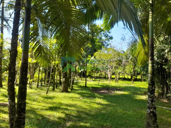 ? Chácara com 4,85 hectares, rio para banho e pesca, vista par...