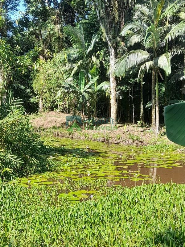 ? Chácara com 4,85 hectares, rio para banho e pesca, vista par...
