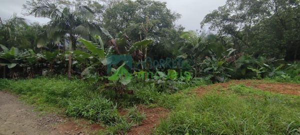 Terreno à venda,1300.00 m², São João da Graciosa, MORRETES - PR