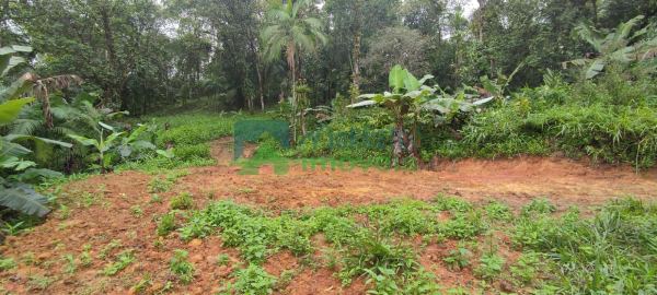 Terreno à venda,1300.00 m², São João da Graciosa, MORRETES - PR