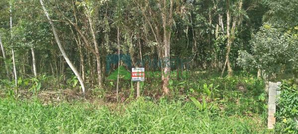 Área Residencial em Barreiros, MorretesPR